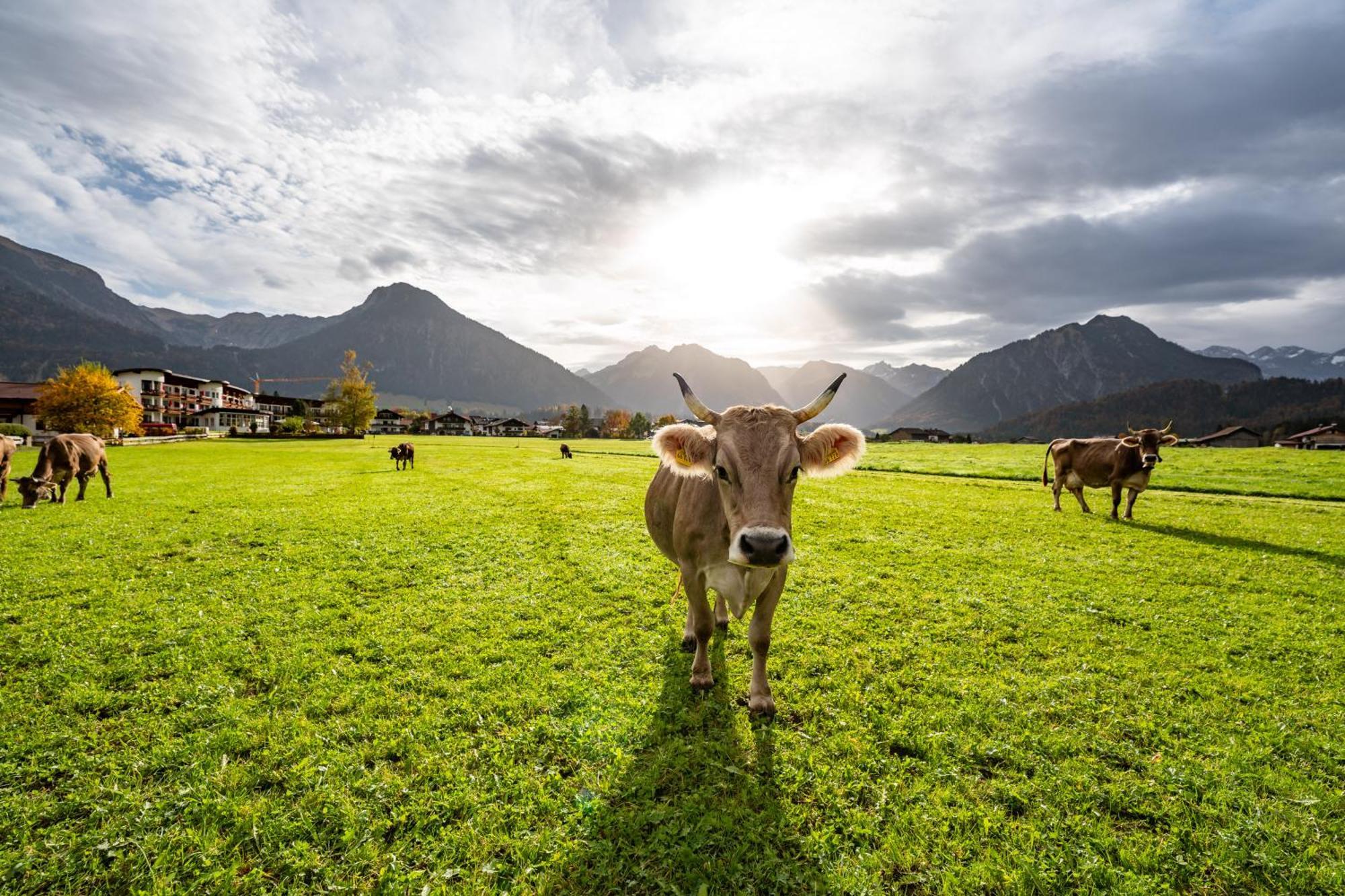 Best Western Plus Hotel Alpenhof Oberstdorf Kültér fotó